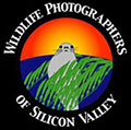 Eric Cheng speaks to Wildlife Photographers of Silicon Valley Photo