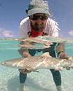 2007 Bimini Shark Encounter ready for applications Photo
