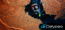 Job Opportunity: Underwater Photographer at Calypso Productions Photo