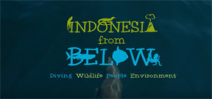 Video: Indonesia from Below Photo