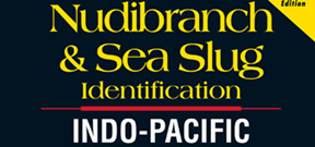 Indo-Pacific Nudibranch guide updated Photo