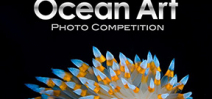 Ocean Art 2019 is open for entries Photo