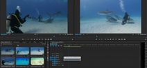 Adobe offers preview of new video editing features Photo