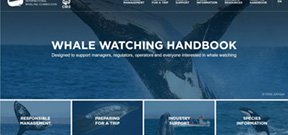 IWC and CMS Launch Online Whale Watching Handbook Photo